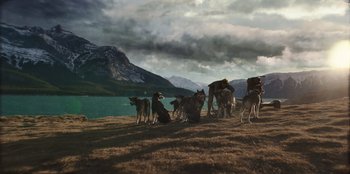 Movie still from “Togo” (2019), directed by Ericson Core – A group of dogs standing on top of a grass covered hill; Extreme Wide shot, Low angle