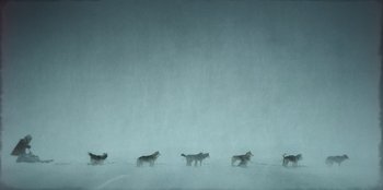 Movie still from “Togo” (2019), directed by Ericson Core – A group of dogs walking through the snow; Extreme Wide shot, Overhead angle
