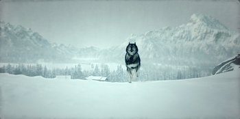 Movie still from “Togo” (2019), directed by Ericson Core – A black and white dog is running in the snow; Extreme Wide shot, Low angle