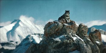 Movie still from “Togo” (2019), directed by Ericson Core – A dog sitting on top of a rock on top of a mountain; Wide shot, Low angle