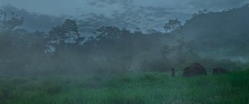 Movie still from “Transformers: Rise of the Beasts” (2023), directed by Steven Caple Jr. – A person standing in a field in the middle of a forest; Extreme Wide shot, Low angle