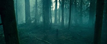 Movie still from “Twilight” (2008), directed by Catherine Hardwicke – A person standing in the middle of a forest; Extreme Wide shot, High angle