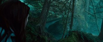 Movie still from “Twilight” (2008), directed by Catherine Hardwicke – A forest with a river and trees in the background; Extreme Wide shot, High angle