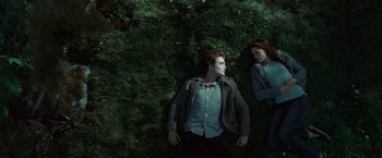 Movie still from “Twilight” (2008), directed by Catherine Hardwicke – A man and a woman laying on the ground next to a tree; Wide shot, Overhead angle