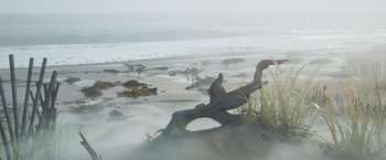 Movie still from “Under the Boardwalk” (2023), directed by David Soren – A driftwood tree on the beach in the fog; Extreme Wide shot, High angle