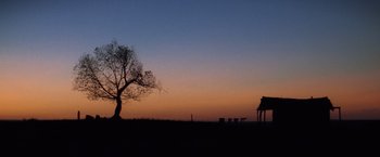 Movie still from “Unforgiven” (1992), directed by Clint Eastwood – A lone tree in a field at sunset; Extreme Wide shot, Low angle