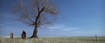 Movie still from “Unforgiven” (1992), directed by Clint Eastwood – A tree in a field with a sky in the background; Extreme Wide shot, Low angle
