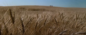 Movie still from “Unforgiven” (1992), directed by Clint Eastwood – A couple of horses in a field of wheat; Extreme Wide shot, High angle