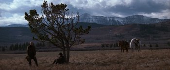 Movie still from “Unforgiven” (1992), directed by Clint Eastwood – A person sitting under a tree in the middle of a field; Extreme Wide shot, Low angle