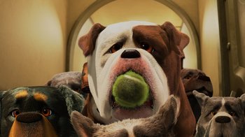 Movie still from “Up” (2009), directed by Bob Peterson – A brown and white dog holding a tennis ball in its mouth; Extreme Close Up shot, Overhead angle