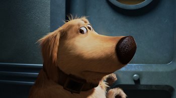 Movie still from “Up” (2009), directed by Bob Peterson – A dog's face in a scene from up; Close Up shot, Low angle