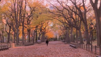 Movie still from “Vanilla Sky” (2001), directed by Cameron Crowe – A person walking through a park with benches and trees; Extreme Wide shot, High angle