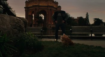 Movie still from “Venom: Let There Be Carnage” (2021), directed by Andy Serkis – A man standing next to a dog in a park; Wide shot, Low angle