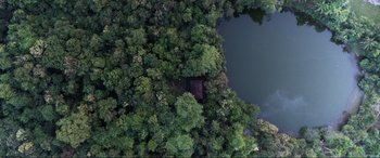 Movie still from “Vikrant Rona” (2022), directed by Anup Bhandari – An aerial view of trees and a body of water; Extreme Wide shot, Overhead angle