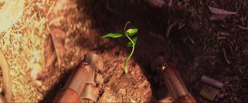 Movie still from “WALL·E” (2008), directed by Andrew Stanton – A green plant is growing in the dirt; Extreme Close Up shot, Overhead angle