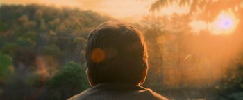 Movie still from “Warm Bodies” (2013), directed by Jonathan Levine – A man looking out at the sun setting over a forest; Close Up shot, Low angle