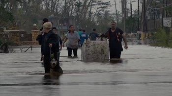 Movie still from “We Feed People” (2022), directed by Ron Howard – A group of people walking down a flooded street with a dog; Extreme Wide shot, High angle