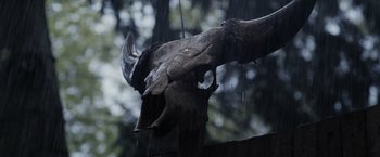 Movie still from “Winnie the Pooh: Blood and Honey” (2023), directed by Rhys Frake-Waterfield – An animal's skull is hanging on a wooden post in the pouring rain; Extreme Close Up shot, Low angle