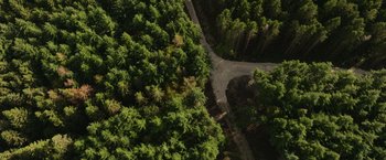 Movie still from “Winnie the Pooh: Blood and Honey” (2023), directed by Rhys Frake-Waterfield – An aerial view of a road through a forest; Extreme Wide shot, Overhead angle