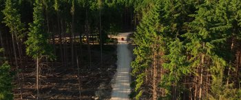 Movie still from “Winnie the Pooh: Blood and Honey” (2023), directed by Rhys Frake-Waterfield – An aerial view of a road in the middle of a forest; Extreme Wide shot, High angle