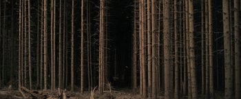 Movie still from “Winnie the Pooh: Blood and Honey” (2023), directed by Rhys Frake-Waterfield – A forest with many trees in the dark; Extreme Wide shot, Low angle