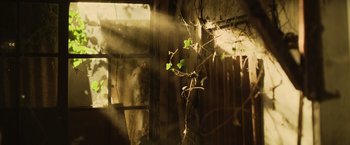 Movie still from “Winnie the Pooh: Blood and Honey” (2023), directed by Rhys Frake-Waterfield – Sunlight streaming through the window of an abandoned house; Extreme Close Up shot, Low angle