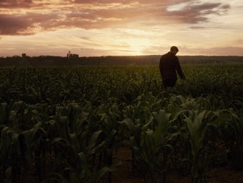 Movie still from “Zack Snyder's Justice League” (2021), directed by Zack Snyder – A man standing in a corn field at sunset; Extreme Wide shot, Low angle