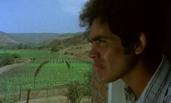 Movie still from “Alambrista!” (1977), directed by Robert M. Young – A man looking out of a window at a vineyard; Close Up shot, Low angle
