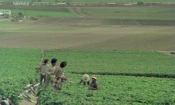 Movie still from “Alambrista!” (1977), directed by Robert M. Young – A group of people standing in the middle of a field; Extreme Wide shot, High angle