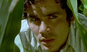 Movie still from “Alambrista!” (1977), directed by Robert M. Young – A man's face with a plant in the background; Extreme Close Up shot, Low angle