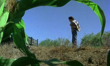 Movie still from “Alambrista!” (1977), directed by Robert M. Young – A man standing on top of a grass covered hill; Wide shot, Low angle