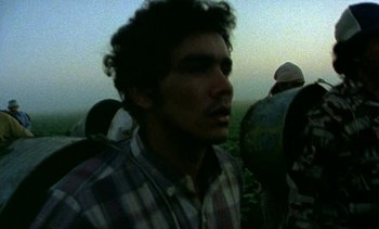 Movie still from “Alambrista!” (1977), directed by Robert M. Young – A man with a beard is standing in a field; Close Up shot, Low angle
