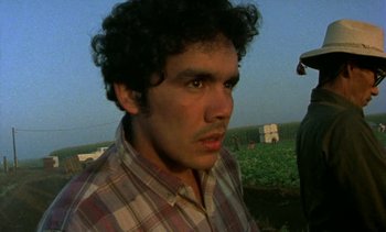 Movie still from “Alambrista!” (1977), directed by Robert M. Young – A young man with curly black hair and a plaid shirt; Close Up shot, Low angle