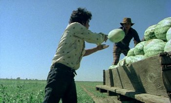 Movie still from “Alambrista!” (1977), directed by Robert M. Young – Two men unloading a truck full of produce from a field; Wide shot, Low angle