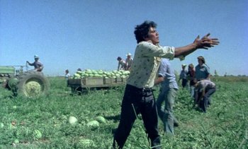 Movie still from “Alambrista!” (1977), directed by Robert M. Young – A man standing in the middle of a green field; Medium shot, Low angle