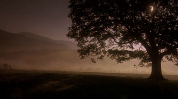 Movie still from “Blaze” (1989), directed by Ron Shelton – A tree in the middle of a grassy field at night; Extreme Wide shot, Low angle