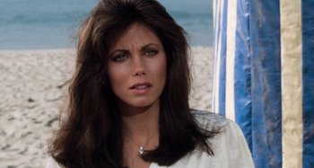 Movie still from “Body Double” (1984), directed by Brian De Palma – A person on a beach; Close Up shot, Over the shoulder angle