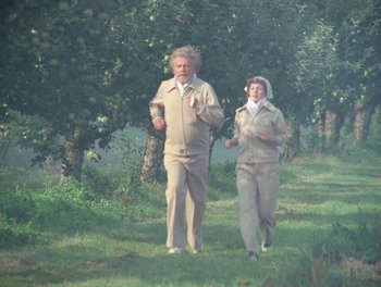 Movie still from “Cousin cousine” (1975), directed by Jean-Charles Tacchella – An older man and a younger woman walking in a field; Wide shot, High angle