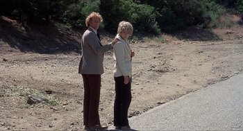 Movie still from “Family Plot” (1976), directed by Alfred Hitchcock – Two older women standing next to each other on the side of the road; Wide shot, High angle