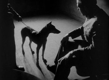 Movie still from “Fear and Desire” (1952), directed by Stanley Kubrick – A man and a dog in a dark room; Medium shot, High angle
