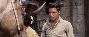 Movie still from “Flaming Star” (1960), directed by Don Siegel – A man standing next to an animal with horns on his head; Medium shot, Over the shoulder angle