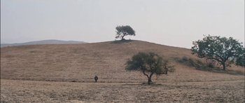 Movie still from “Flaming Star” (1960), directed by Don Siegel – A person standing in a field next to a tree; Extreme Wide shot, High angle