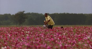 Movie still from “Jason's Lyric” (1994), directed by Doug McHenry – A man standing in a field of pink flowers; Extreme Wide shot, High angle