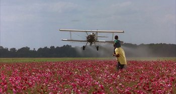 Movie still from “Jason's Lyric” (1994), directed by Doug McHenry – An airplane is flying over a field of flowers; Wide shot, High angle