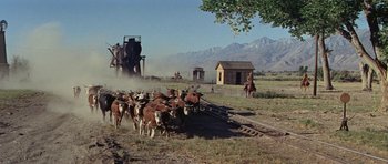Movie still from “Nevada Smith” (1966), directed by Henry Hathaway – A herd of cattle walking across a dirt field next to train tracks; Extreme Wide shot, Low angle