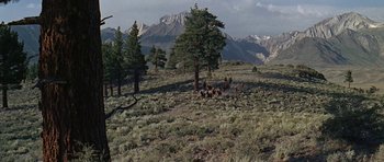 Movie still from “Nevada Smith” (1966), directed by Henry Hathaway – A group of people riding horses through a field; Extreme Wide shot, High angle