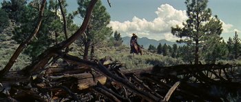 Movie still from “Nevada Smith” (1966), directed by Henry Hathaway – A man riding a horse through a field; Extreme Wide shot, Low angle