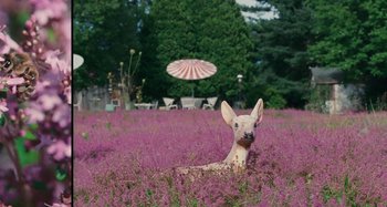 Movie still from “Taking Woodstock” (2009), directed by Ang Lee – A deer laying in a field of purple flowers; Wide shot, High angle
