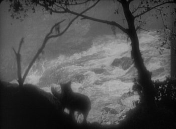 Movie still from “The Most Dangerous Game” (1932), directed by Irving Pichel – A black - and - white photo of a river and trees; Extreme Wide shot, High angle