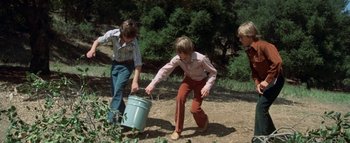 Movie still from “The Swarm” (1978), directed by Irwin Allen – Three young boys are picking berries off the ground; Wide shot, High angle